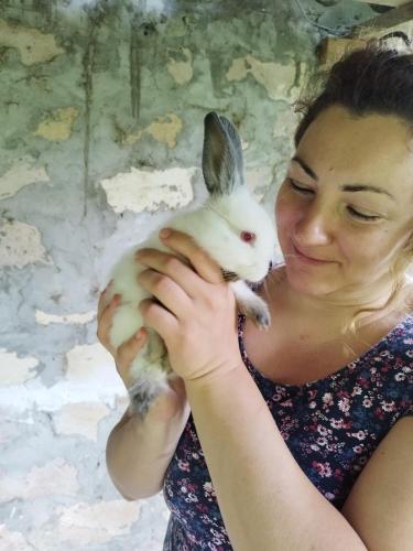 Country House Uliana