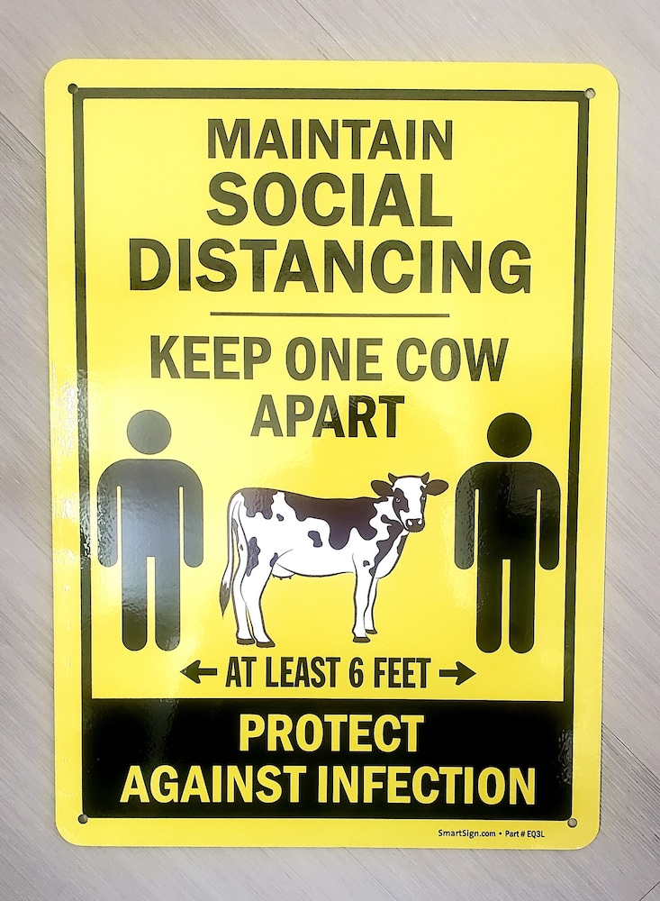 Rose's Motel - photo 4