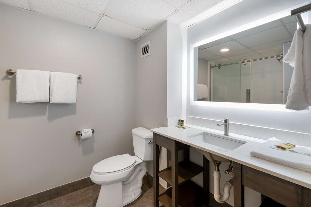 Best Western Plus Alexandria Fort Belvoir - photo 34