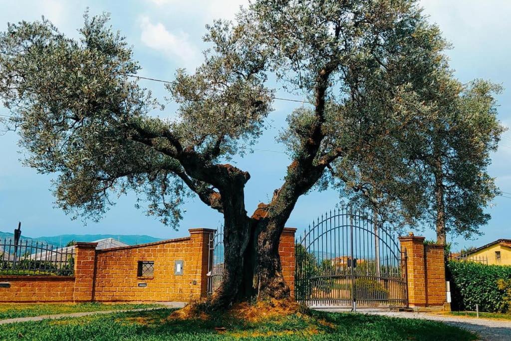 Casolare L'antico Olivo — 4-Star Luxury Hotel in Chiesina Uzzanese, Italy