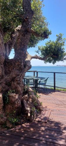 Driftwood Beach Villa — 4-Star Luxury Hotel in Cape Town, South Africa