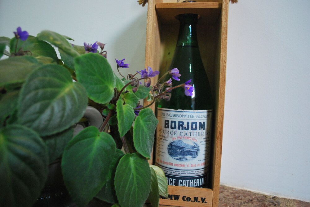 Hotel Old Borjomi
