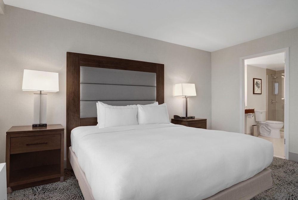Hilton Arlington National Landing - photo 44