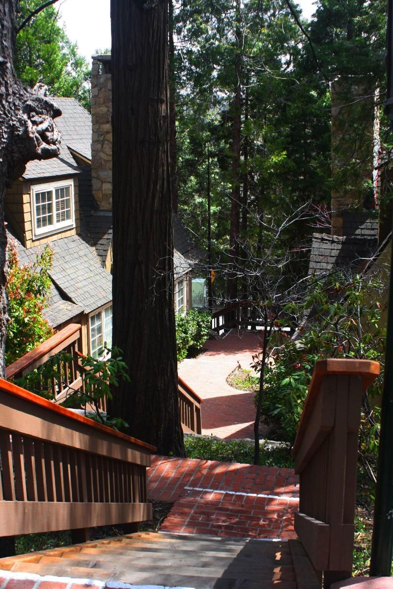 Saddleback Inn at Lake Arrowhead - photo 3