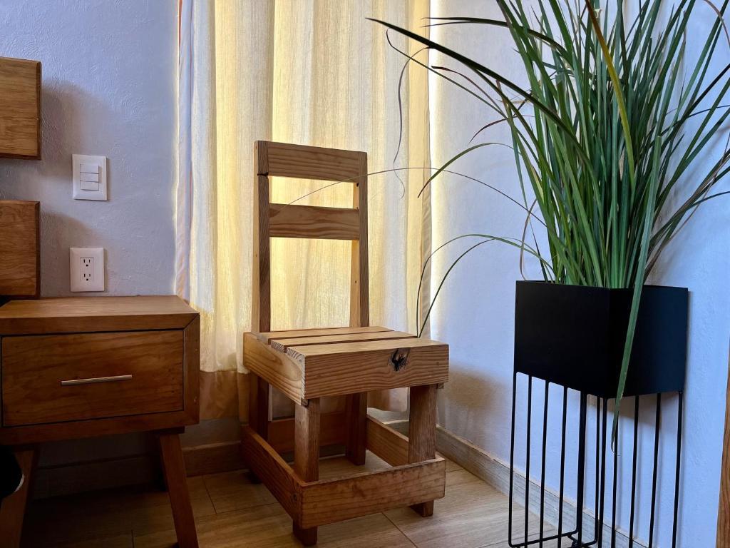 Cabaña Oso Tapalpa in Tapalpa, Mexico