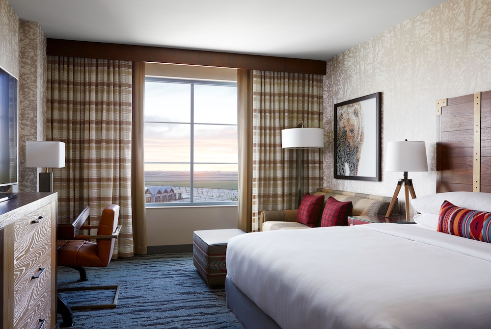 Gaylord Rockies Resort & Convention Center - photo 36