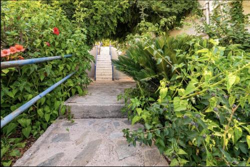 Traditional Seaview Maisonette — Saronida — photo 5