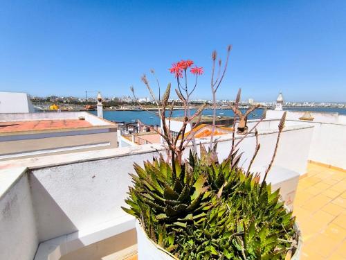 Sweet Home Casa Melita 1º Piso — 4-Star Luxury Hotel in Ferragudo, Portugal