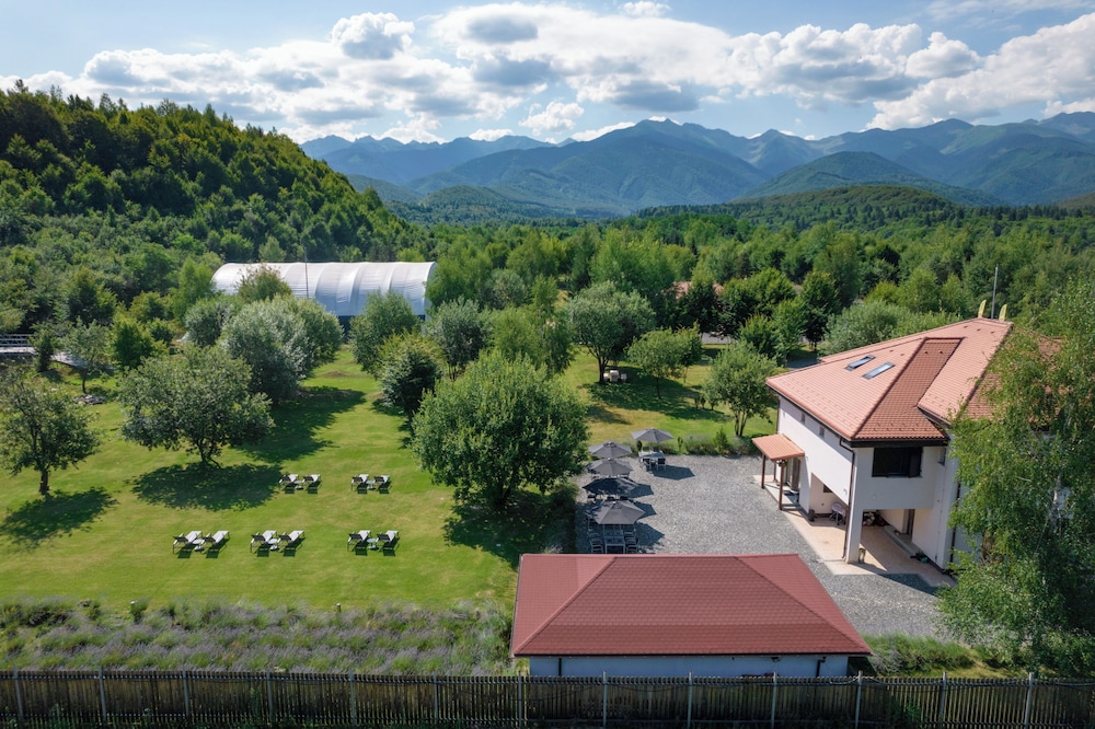 Pensiunea Negoiu — 4-Star Luxury Hotel in Agnita, Romania