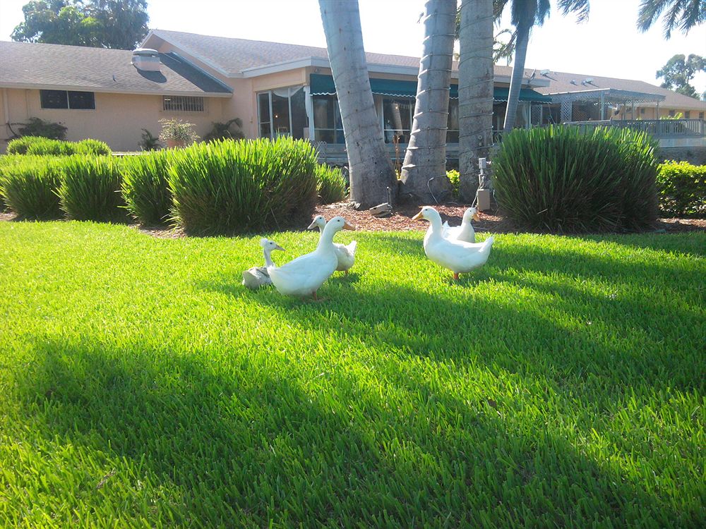 Hollywood Beach Golf Resort - photo 26