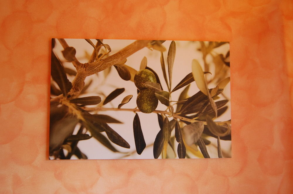 Green Quiet Affittacamere — Pignone — photo 2