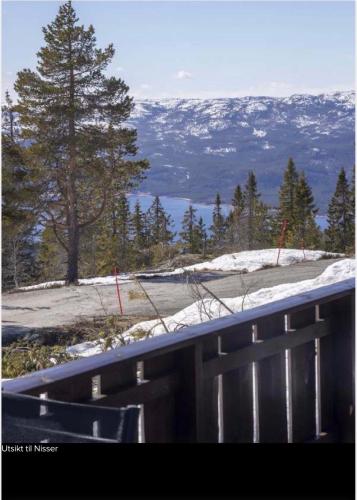 Nydelig hytte Kyrkjebygdheia 800 m oh pet-friendly hotel Fyresdal