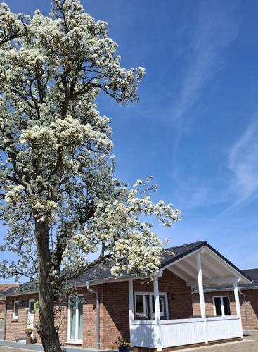 Hof Hagen Am Birnenbaum Neubau 2025 in Gromitz, Germany
