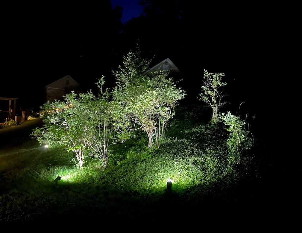 The Brattleboro - photo 18