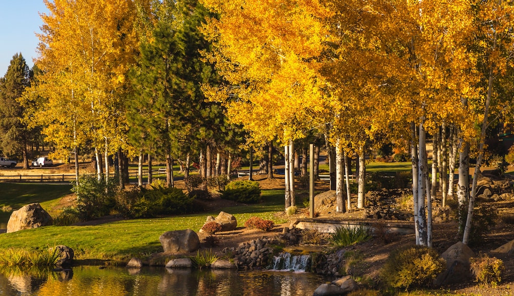 Running Y Ranch Golf & Spa Resort - photo 57