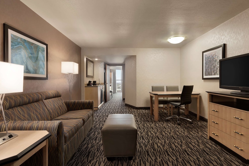 Embassy Suites by Hilton Convention Center Las Vegas - photo 19