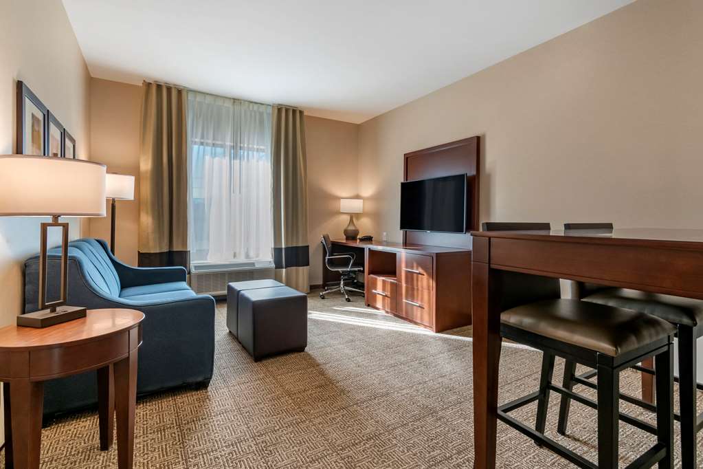 Comfort Suites Camp Hill Harrisburg West - photo 12
