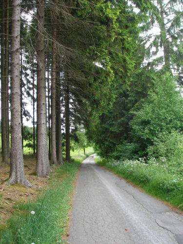 Ferienhof Hoppe — Sundern — photo 5