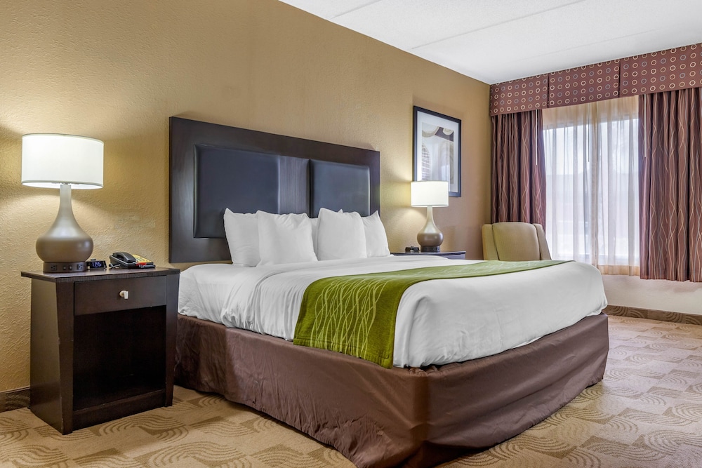 Comfort Inn Warner Robins Robins Air Force Base Area - photo 9