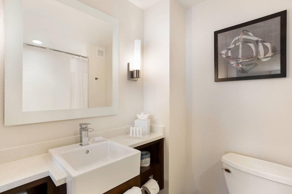 TownePlace Suites by Marriott San Mateo Foster City - photo 28