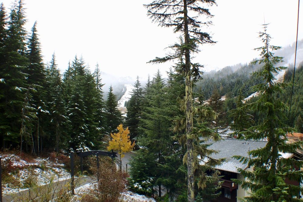 Crystal Chalets Condominiums at Crystal Mountain Ski Resort - photo 167