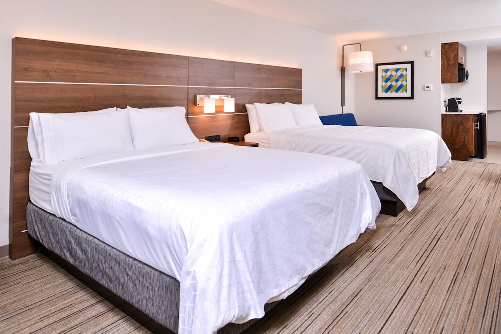 Holiday Inn Express Hotel & Suites Tampa Anderson Rd Veteran by IHG - photo 24