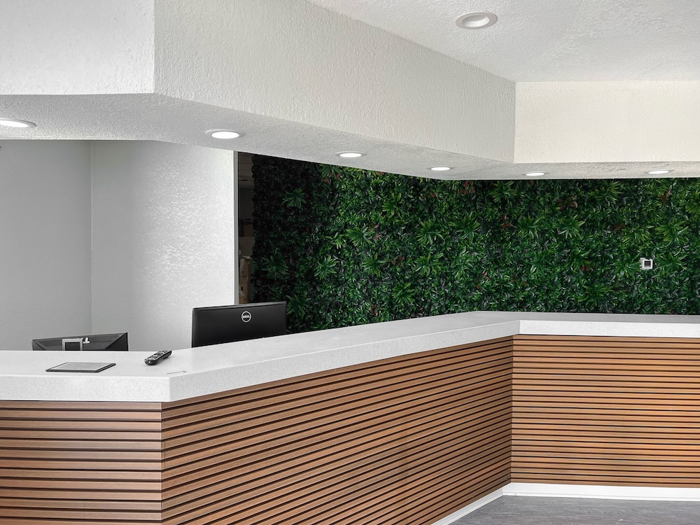 Oneway Savannah - photo 3