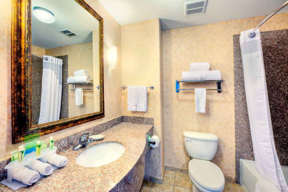 Holiday Inn Express & Suites Granbury by IHG - photo 13