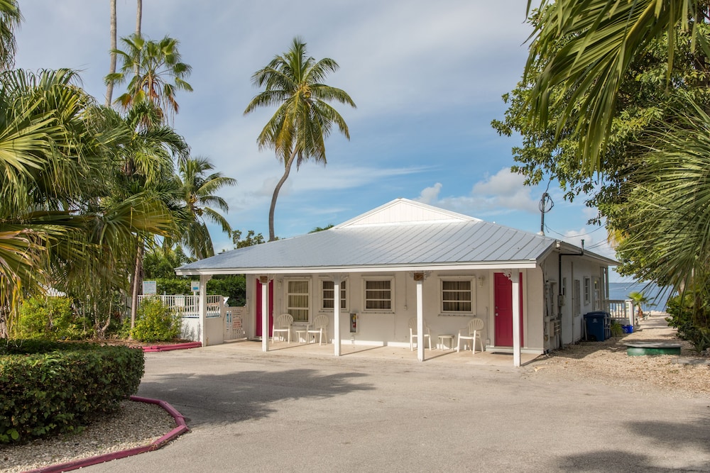 Amoray Dive Resort - photo 165