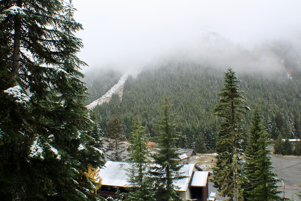 Crystal Chalets Condominiums at Crystal Mountain Ski Resort - photo 170