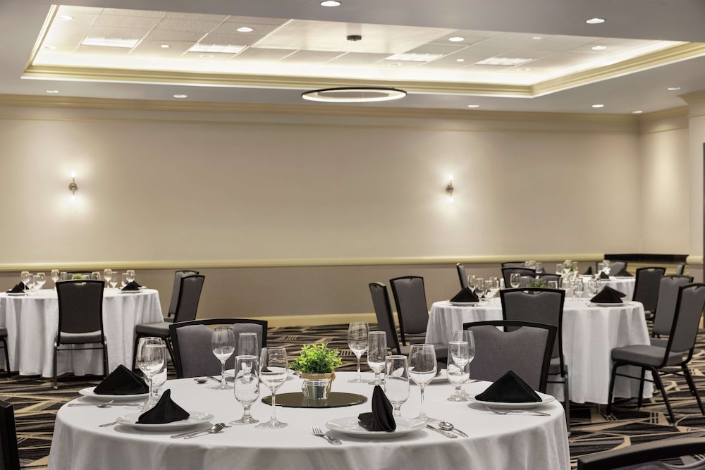 Embassy Suites by Hilton Denver International Airport - photo 45