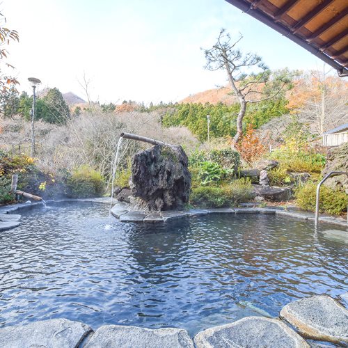 Hotel Izumi Ya — hotel in Shiroishi
