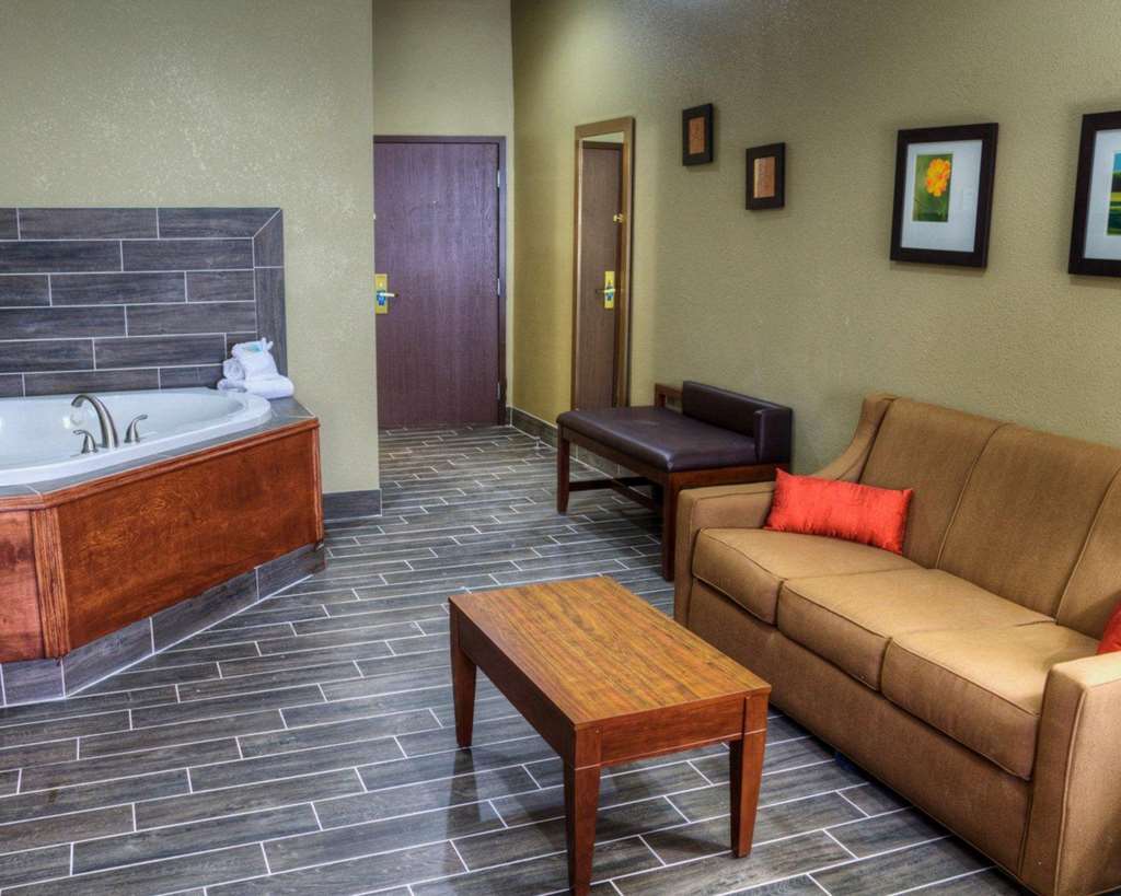Comfort Suites Plymouth near US 30 - photo 22