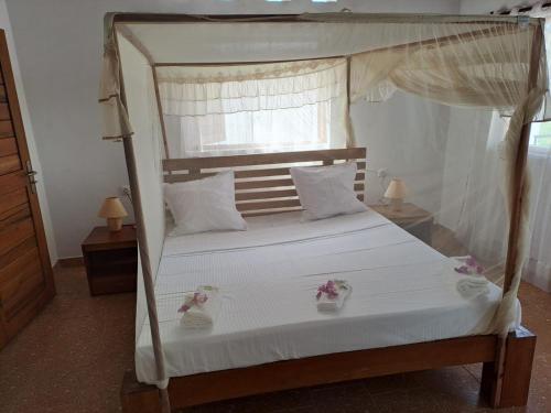Mango Eden Hotel — Unknown City — photo 2
