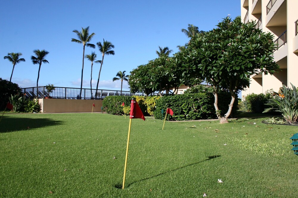 Sugar Beach #531 by Ali'i Resorts - photo 15