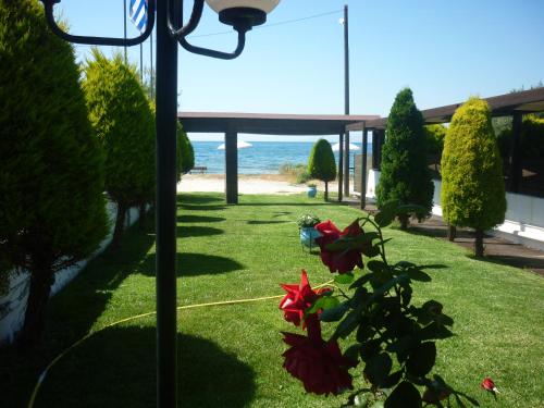 Hotel Dimitra - carbon neutral hotel in Vasilikon