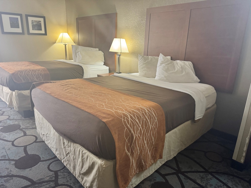 AmericInn by Wyndham Memphis East - photo 15