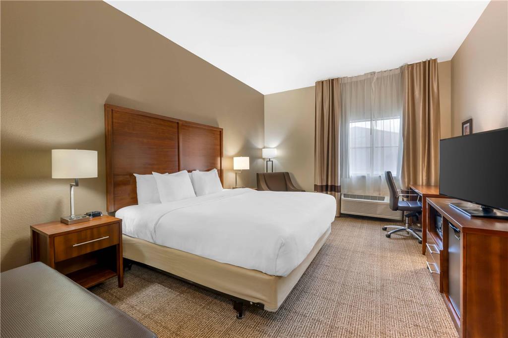 Comfort Inn I 20 Midland Stanton - photo 31