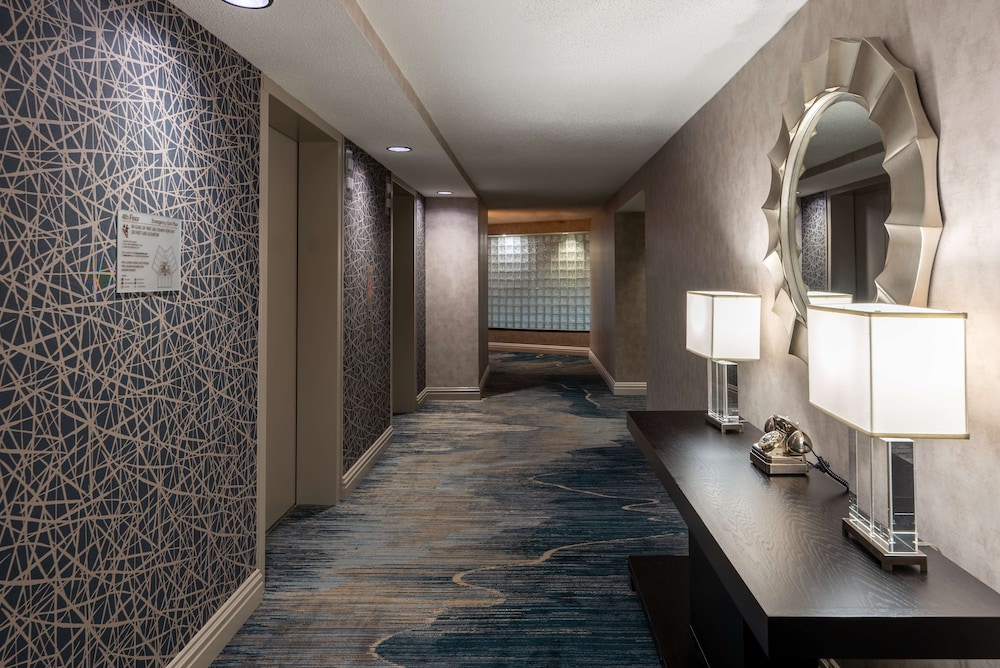 Hilton Alexandria Mark Center - photo 7