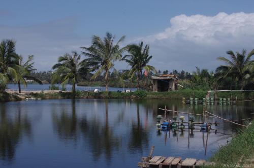 La Maison d'Indochine — 4-Star Luxury Hotel in Hoi An, Vietnam