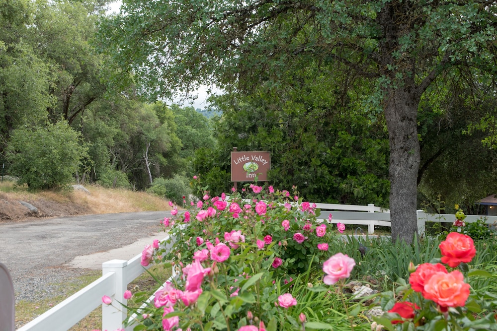 Little Valley Inn - photo 49