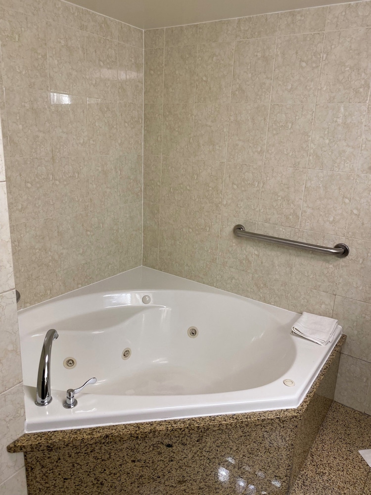 Hotel Indigo Detroit North Troy by IHG - photo 14