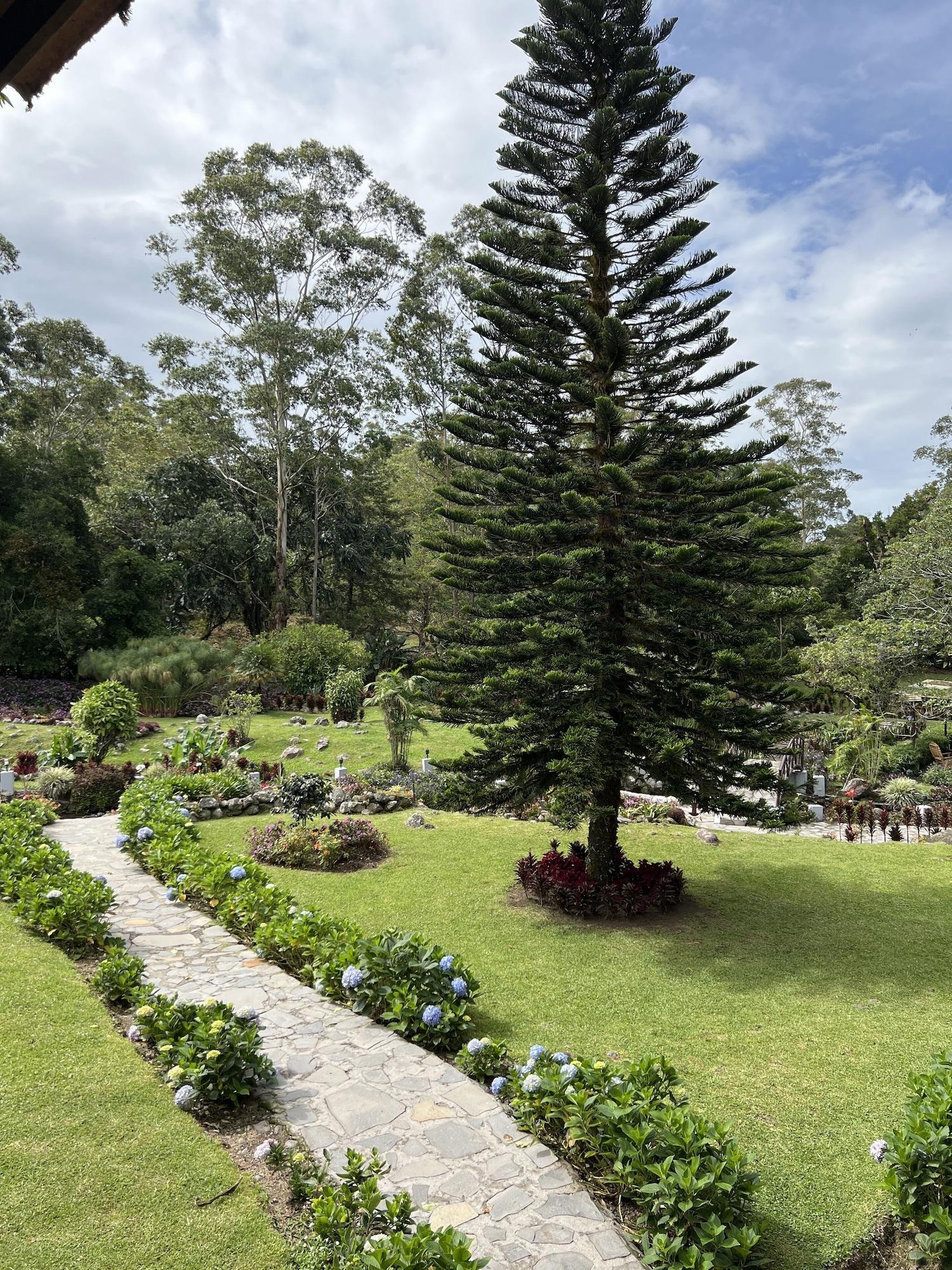 Hotel Dos Rios — Volcan — photo 5