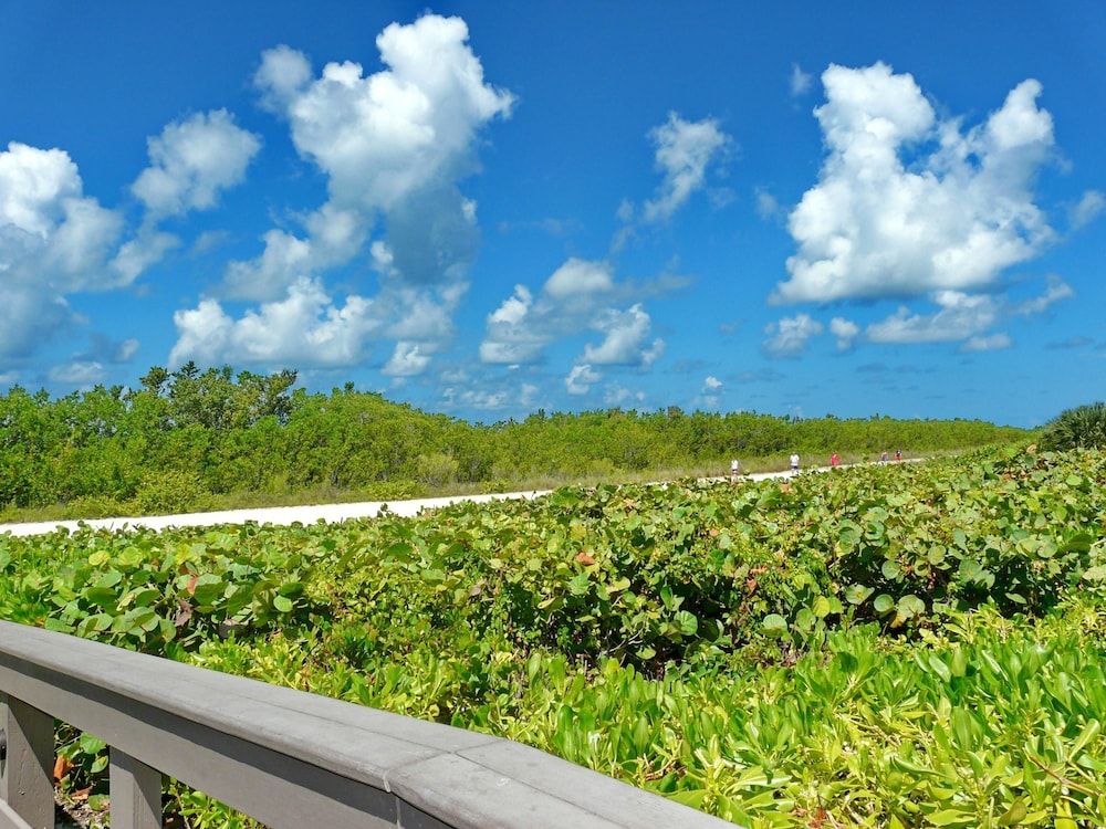 Sst3 1709 South Seas Towers 2 Bedroom Condo by Redawning in Marco Island, United States