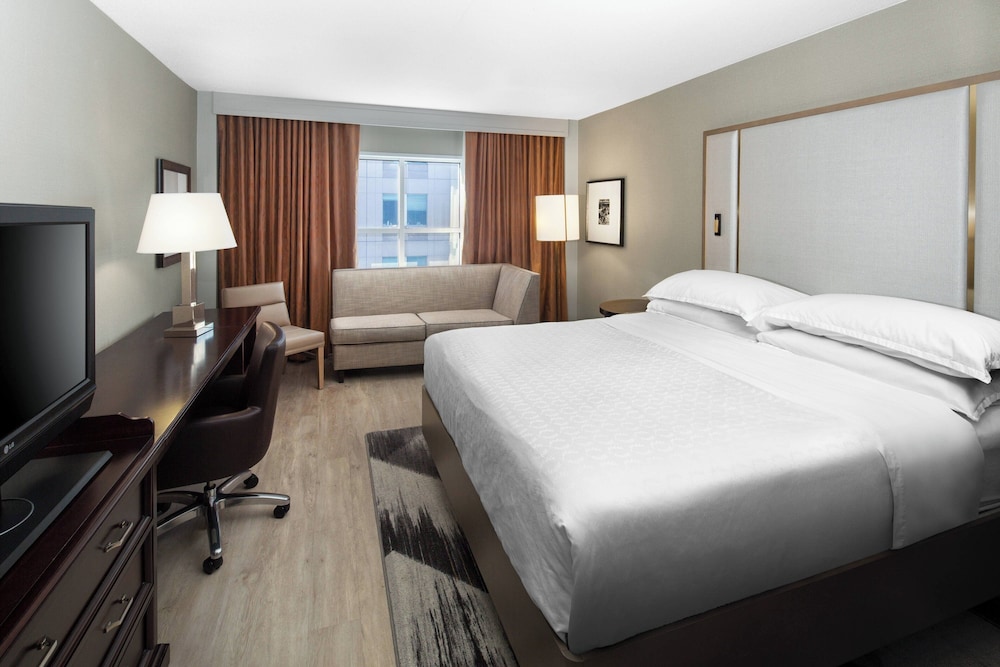 Sheraton Raleigh Hotel - photo 8