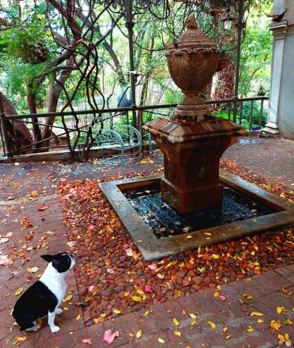 Grewar House — 4-Star Luxury Hotel in Parys, South Africa
