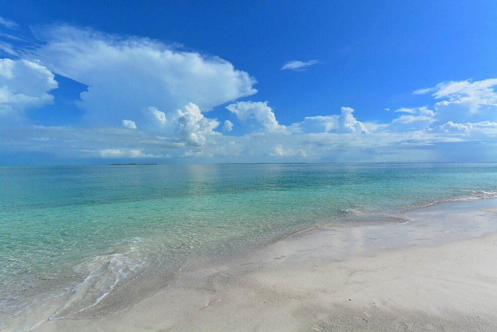 Lighthouse Lagoon - photo 40