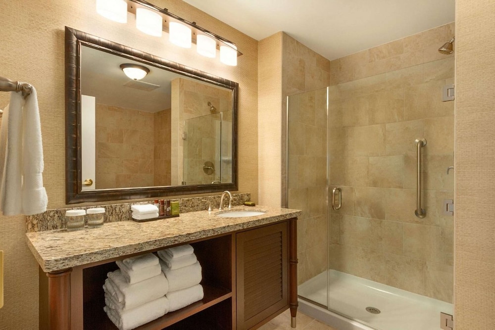 Embassy Suites by Hilton Savannah Historic District - photo 32