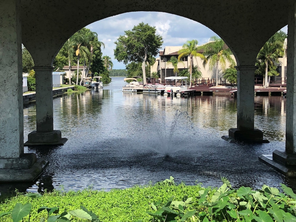 Vista Inn Lake Tarpon - photo 60