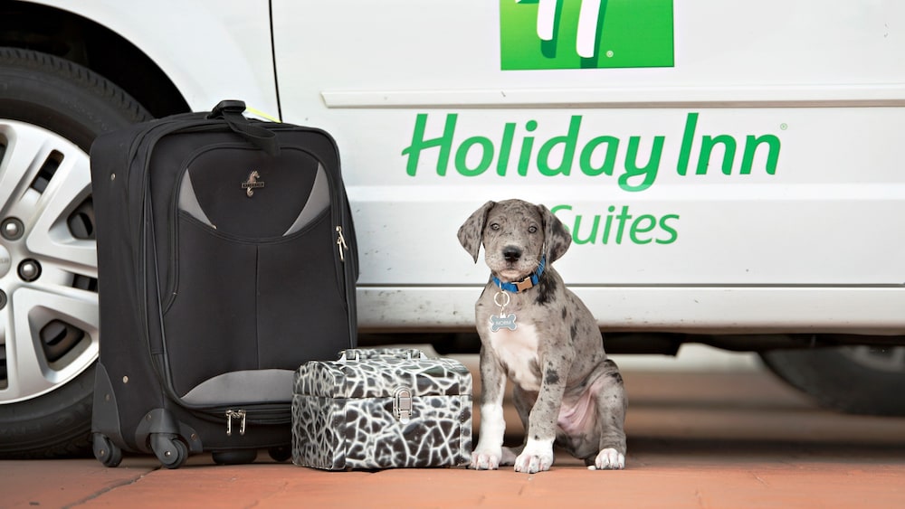 Holiday Inn Bloomington Airport by IHG - photo 72